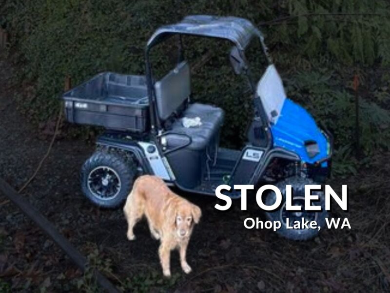 Landmaster L5 Sport UTV Stolen Near Ohop Lake