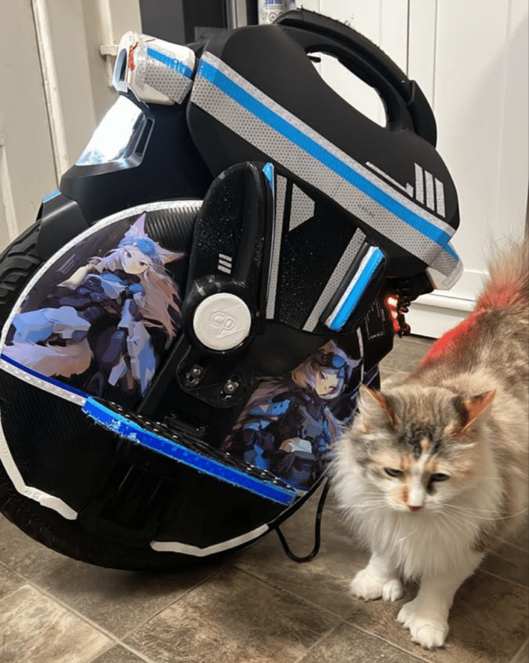 Stolen black InMotion V11 electric unicycle with custom anime cat-girl decals missing from San Francisco." and "Close-up of the stolen InMotion V11 showing the distinctive anime decals and blue/silver striping.